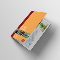 Brochure Design