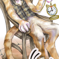 Bespoke illustrations