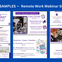Webinar work Plan