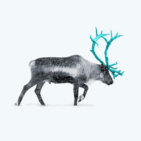 Reindeer's | strategy consulting | logo / brand identity