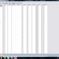 Data entry on spss