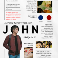 Sample template 2