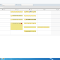 Virtual Assistant Support