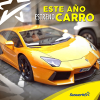 Portfolio Thumbnail 16