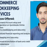 Ecommerce Bookkeeping expert
