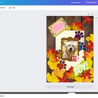 Graphic Design (Canva)