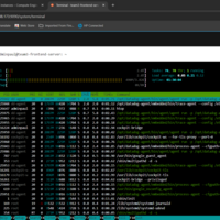 Server Triggering to initiate alerting