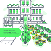Infographic | Types of Urban Farms (Public Administration)