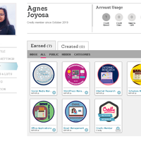 Credly Badges Earned