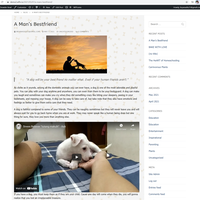 Creating a new post in Wordpress