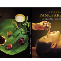 Panchakarma - Covers and Spline