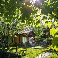 Portfolio Thumbnail 35