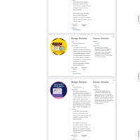 My Credly Badges