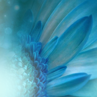 Portfolio Thumbnail 2