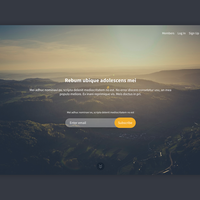 Landing Page UI Design