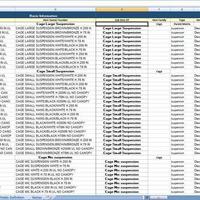 Web Search with Data Entry in Microsoft Excel