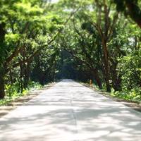 Portfolio Thumbnail 19