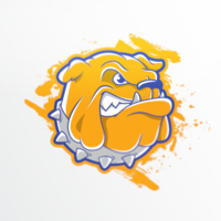 Portfolio Thumbnail 11