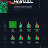 A Conceptual Design for BD Cricket Team