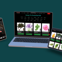 Website Development for Dr-Gains