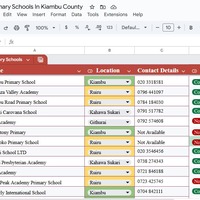Data Entry Work Sample (Google Sheets)