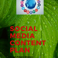 Social  Media Management 