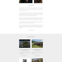 Website design in Wordpress - Home page | www.hanksemp.com