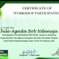 Advanced Ms Excel certification 