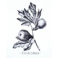 Portfolio Thumbnail 8