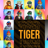 Portfolio Thumbnail 6