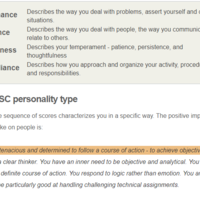 DISC Personality Test Result