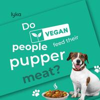 Portfolio Thumbnail 19