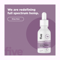 Google Ads