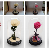 Product photo enhance and retouch