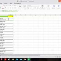 Ms Excel