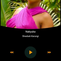 Stream music feature