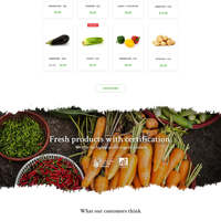 Website Design