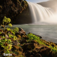 Near. React Native App