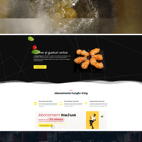 www.kungfu-king.ro