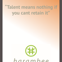 Portfolio Thumbnail 0