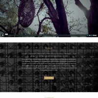 Website Design and Development