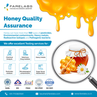 Portfolio Thumbnail 3