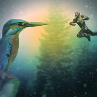 Portfolio Thumbnail 3