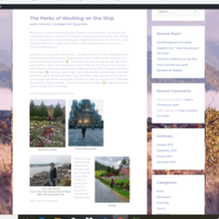 WordPress Management