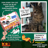 Portfolio Thumbnail 3