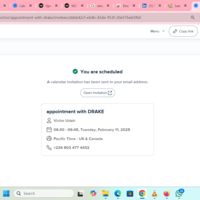 Appointment setting using Calendly 