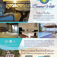 Buena Vista Flyer Design