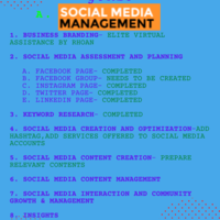 Social Media Management and Marketing Page 1