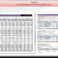 Small Business Reports (Apex)