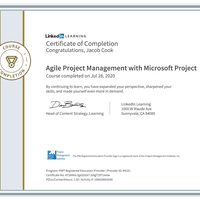 Microsoft project management  